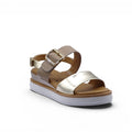 PLATINO CAMEL