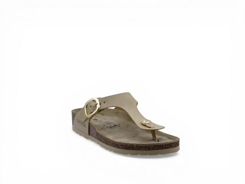 001651.SAB-1.jpg